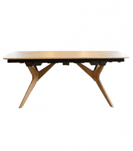 Table OLONNE