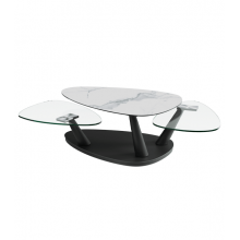 Table basse CAMELIAS