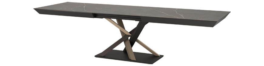 Tables extensibles